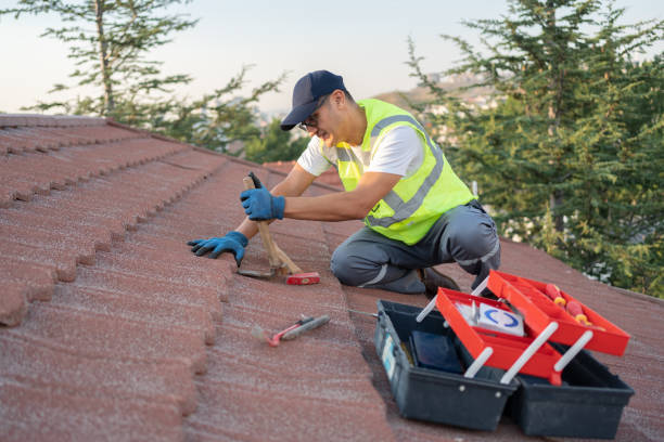 Best Gutter Installation and Roofing  in Terville, WA