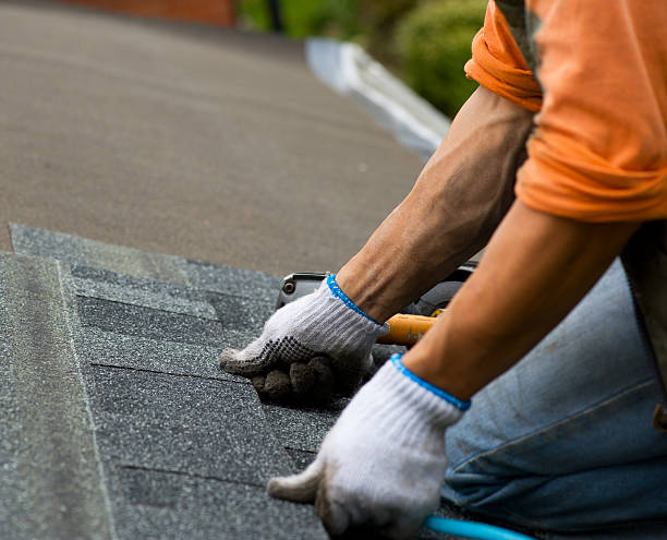 Best Storm Damage Roof Repair  in Terville, WA